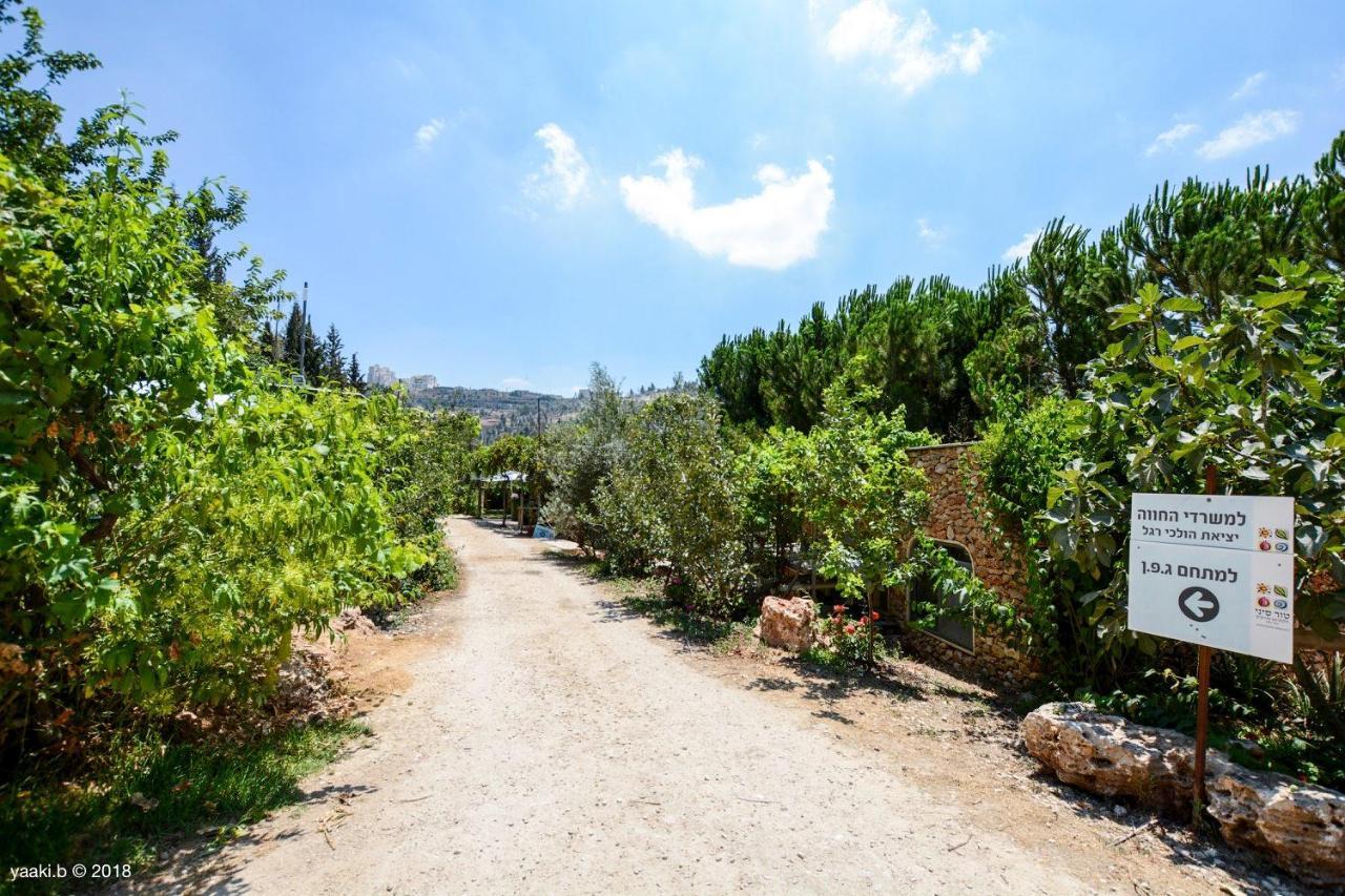 Tur Sinai Organic Farm Resort Jerusalén Exterior foto
