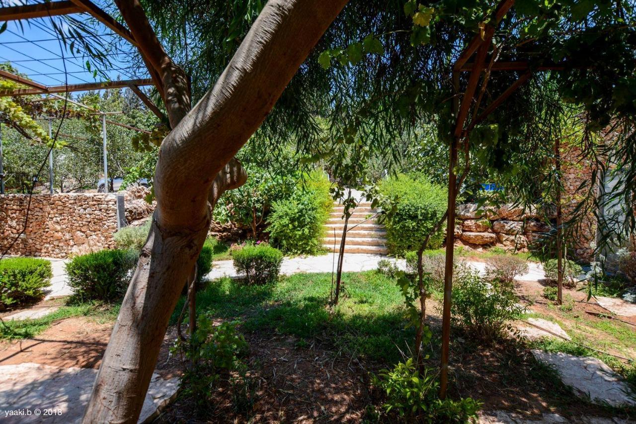 Tur Sinai Organic Farm Resort Jerusalén Exterior foto